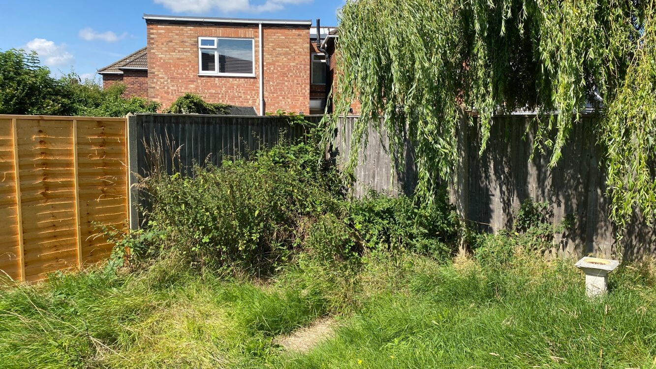 garden nettles